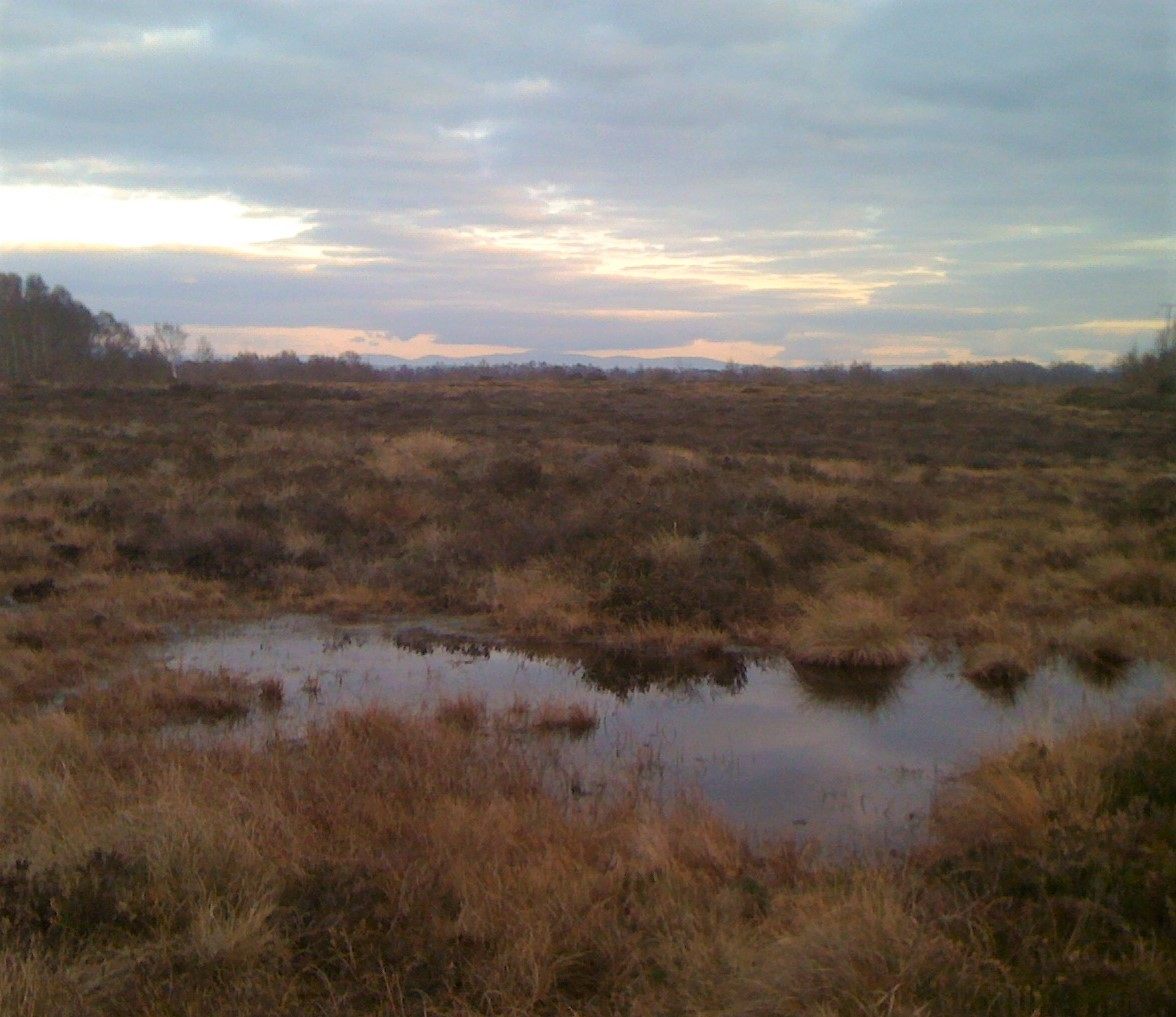 Boglands have surprisingly powerful preservative potential.