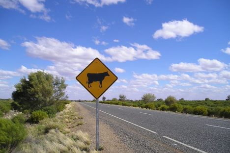 Chinese Investors Just Bought 1 Percent of Australia