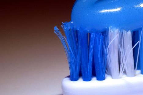 The Toothbrush That Grows On Trees