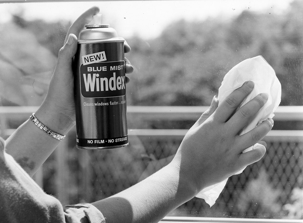 windex logo history