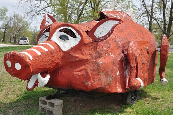 Home-Built Razorback Hog. (Agility Nut)