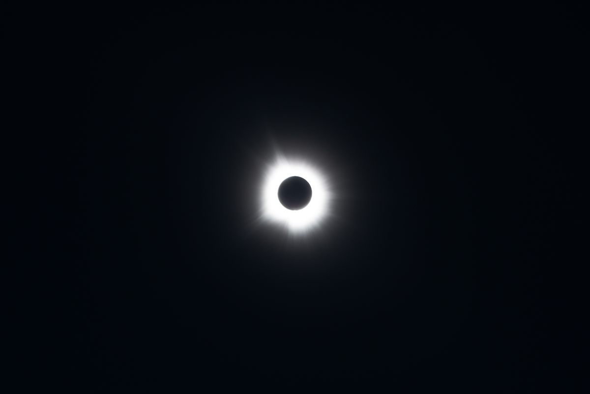 The sun's corona blazes into view during totality, the brief window when the moon fully blocks the sun, seen here during the April 2024 total solar eclipse.