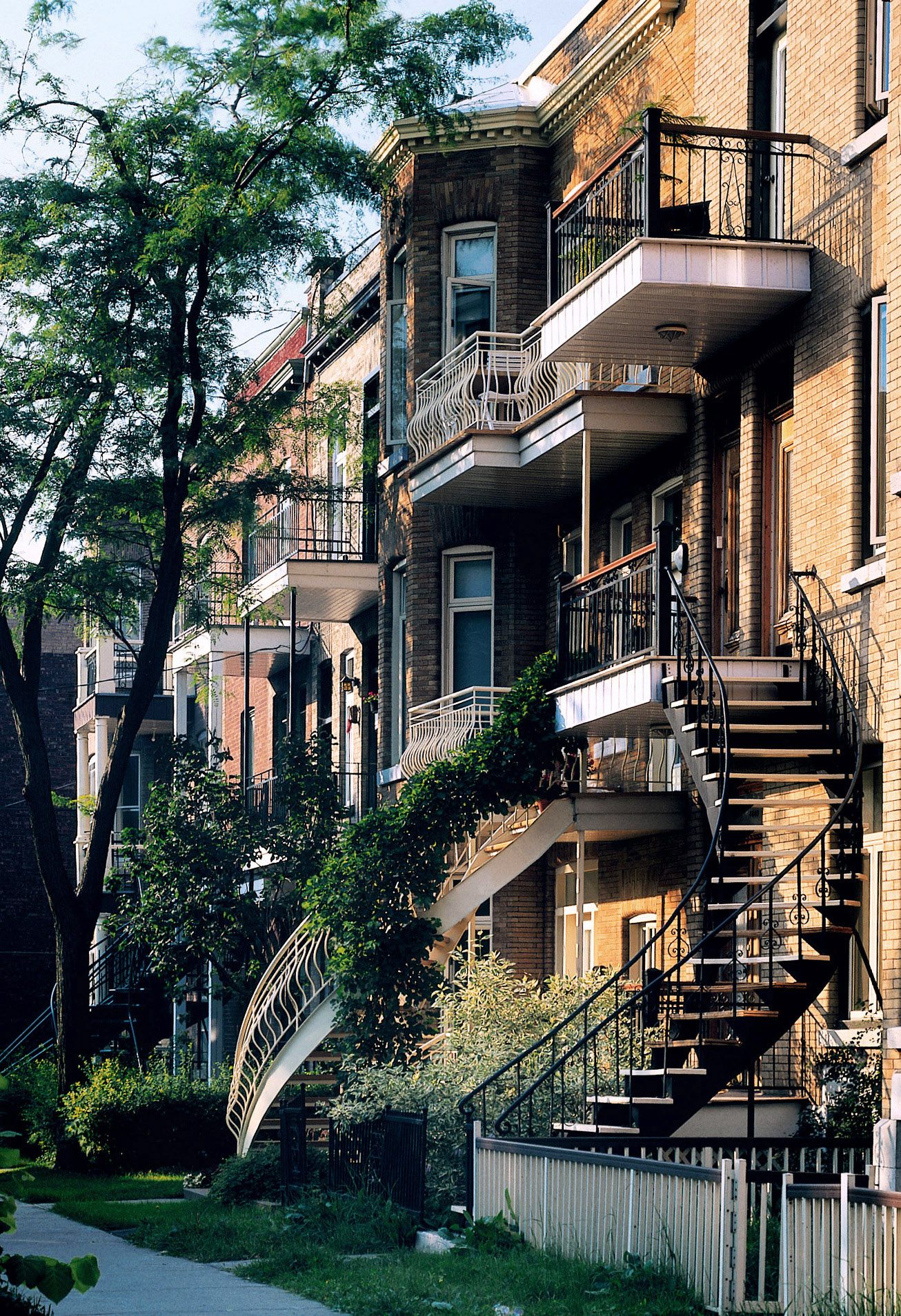 A winding steep staircase with stone steps and iron rails against the  background of beautiful climbing plants Stock Photo