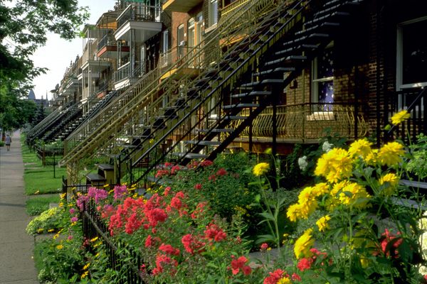 在20世纪40年代，蒙特利尔禁止建造新的室外楼梯，但禁令并没有持续太久。这些台阶在城市景观中根深蒂固。