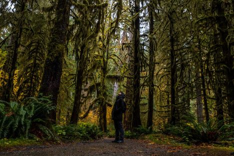In Search of Sanctuary