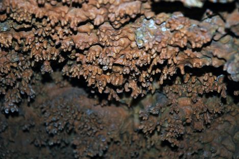 Take a guided tour through the cavern's illuminated passageways.