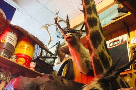 North Idaho Trading Company