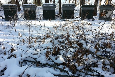 Van Cortlandt Park Monoliths 