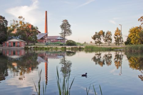 Box Hill Brickworks behind Surrey Dive.