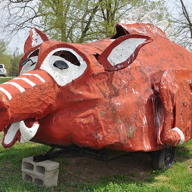 Home-Built Razorback Hog. (Agility Nut)