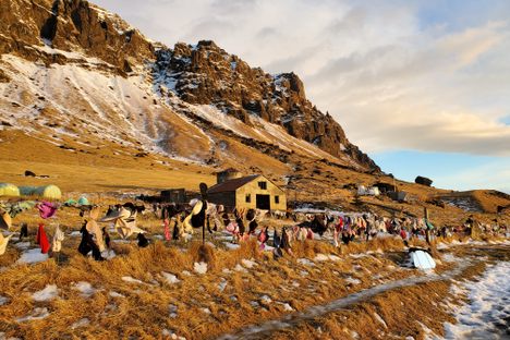 South Iceland's Bra Fence