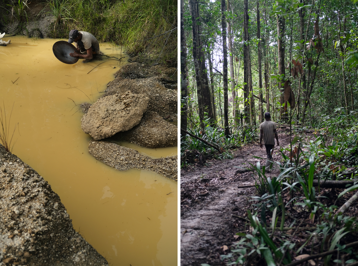 Pork-knocker Vishal Jagarnauth panning for gold (left); a pork-knocker walks through recently bulldozed land in Kurupung.