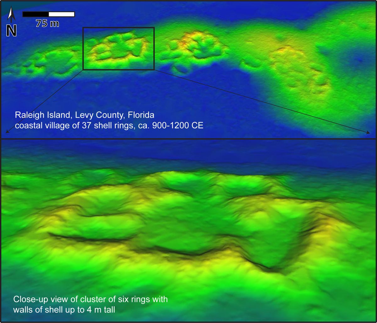 Lidar scans reveal the structures beneath the dense plant growth.