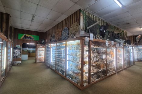 Griffiths Sea Shell Museum