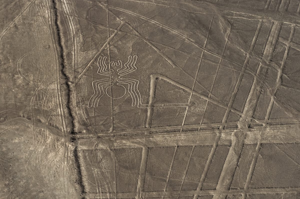 Some conspiracists believe the Nazca Lines of Peru to be the work of aliens instead of the ancient Nazca culture.