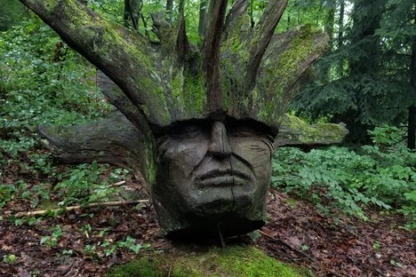 WaldMenschen Sculpture Trail