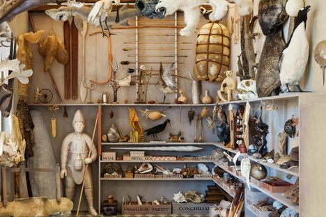 Ole Worm Returns: An Iconic 17th Century Curiosity Cabinet is Obsessively Recreated 