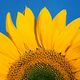 mrskarennoble profile photo
