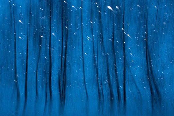 Snowflakes falling against a birch forest look magical in Russian photographer Alexey Korolyov's Small Comets. 