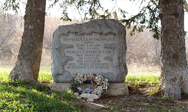 Traverse Colantha Walker's Grave – Traverse City, Michigan - Atlas