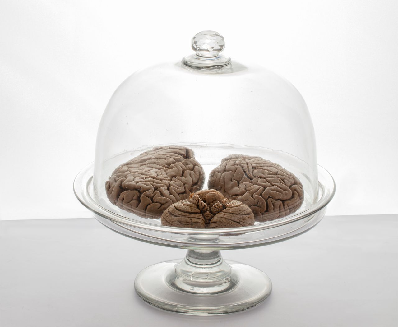 The neuroscientist’s brain is brownish and small, but is otherwise virtually unchanged from the 1800s.