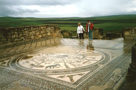  Volubilis - Maison d'Orphée