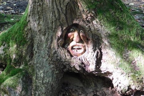 Hidden faces in the trees.