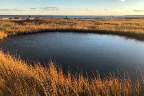 Silver Sands State Park