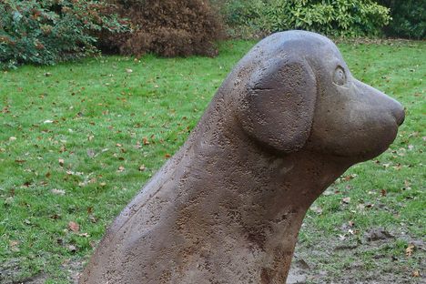 Lucky Dog of Todmorden