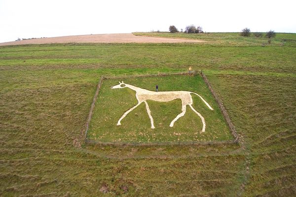 Pewsey White Horse