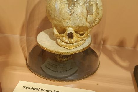 Anatomical Museum Basel