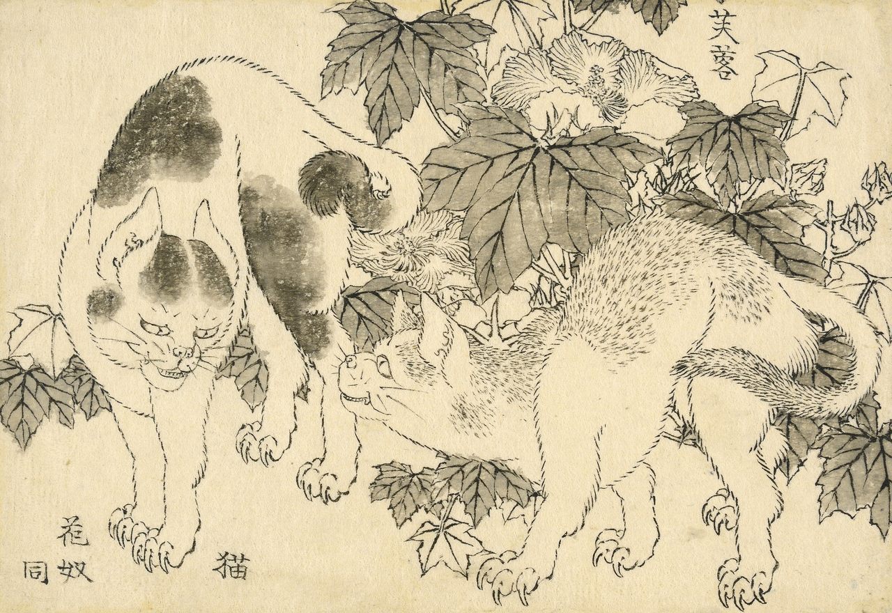 "Cats and Hibiscus" shows a standoff between two cats next to a thicket of the flowering plant (fuyō).