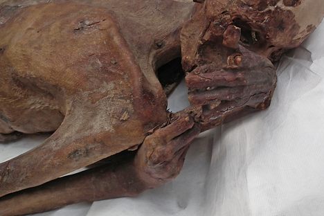 Tattoos on the Predynastic male mummy from Gebelein.