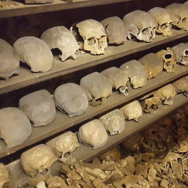 The crypt is full of skulls and other skeletal remains.