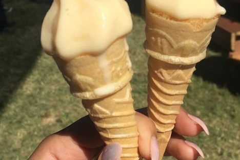 At the Gilroy Garlic Festival, the tips of garlic ice cream cones look like mini bulbs.