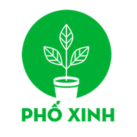 Profile image for cayphongthuydebanpx