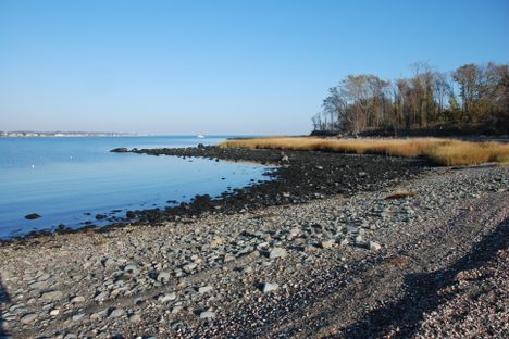 Charles Island
