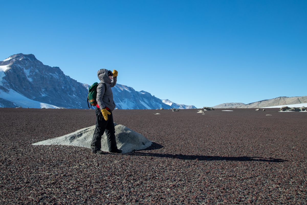 The Dry Valleys are vast, with much less ice.