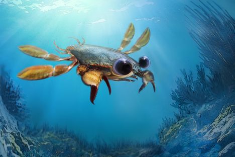 Callichimaera perplexa on the prowl, as imagined by a paleoartist.