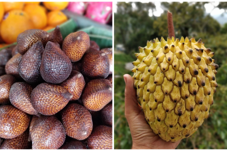 The serpent fruit, salak (left), and the lemon-meringue like rolinia deliciosa (right).