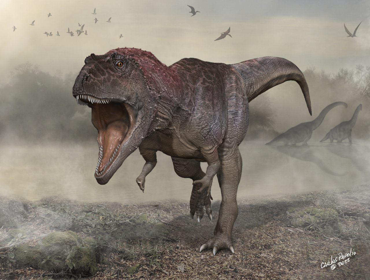<em>Meraxes gigas</em>, a large dinosaur recently discovered in Argentina, was dangerous to know. Despite the tiny arms, it was not related to <em>T. rex</em>. 