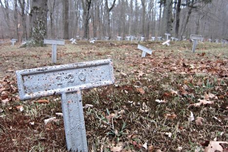 Numbers Instead of Names on the Forgotten Graves of Asylum Patients