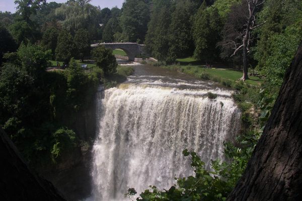 The biggest - Webster's Falls