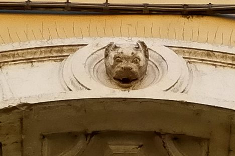 Palazzo Aldegatti's Cat