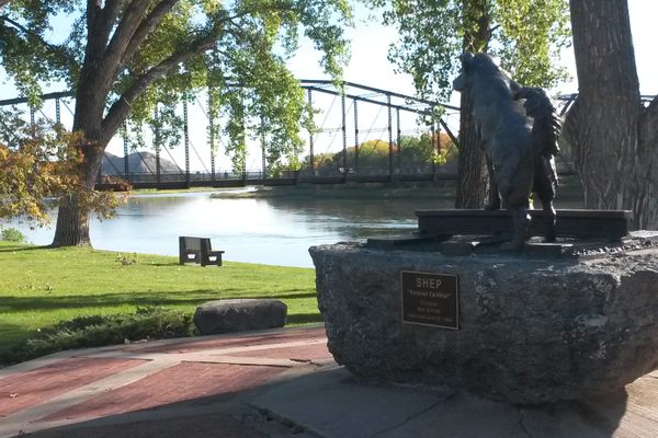 Old Shep looks over the Missouri River.