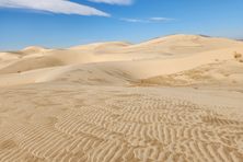 Dune view.