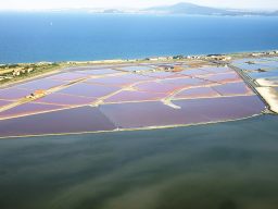 An aerial view of the pink waters of Lake Atanasovsko.