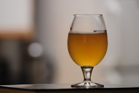 Saison is a pale ale, usually cloudy gold in color, with fruity, spicy flavors.  