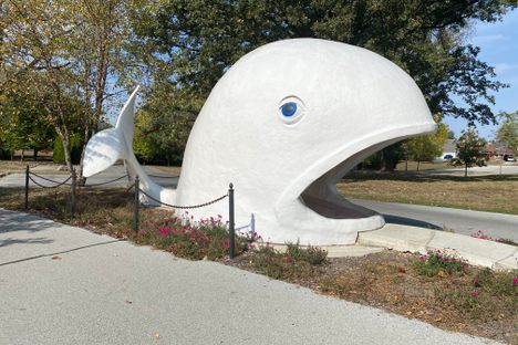 Willie the Whale