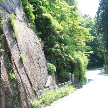 The mountain cliff beside Route 299.